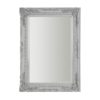 Cavolt Nature Inspired Wall Mirror In Weathered Silver